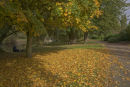 Autumn in Tamworth Castle Grounds.